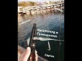 Rockfishing в Геленджике. Сарган, Ставрида, Ласкирь.