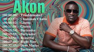 Classic Party Music Mix | Akon Hits for Road Trips, Celebrations and Weekend Vibes