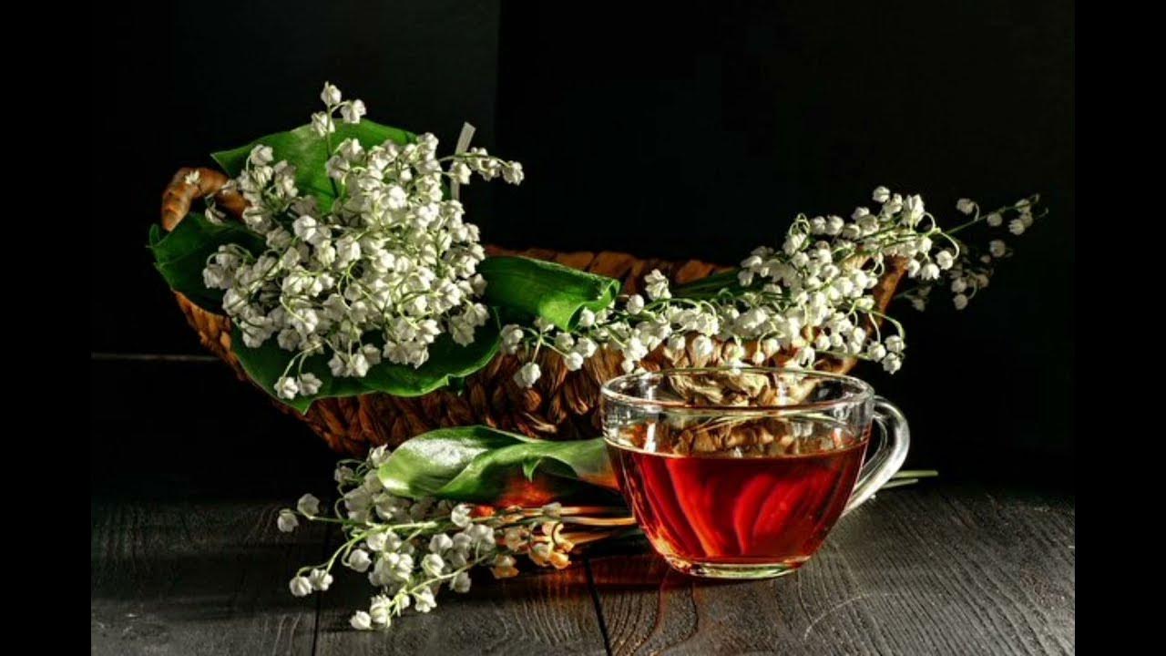 ландыши песня. ландыши песня 2022.