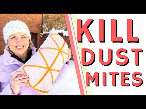 Kill Dust Mites Using Freezing Temperatures! Remove Common Household Allergens Easily
