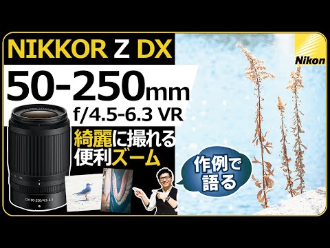 ニコン NIKKOR Z DX 50-250mm f/4.5-6.3 VR 【Z30 Z50 Zfcにオススメ