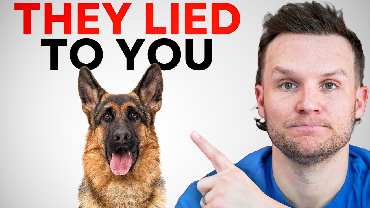Why You Should NEVER Get a German Shepherd