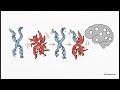 Intro to Microbiology – The Ultimate Beginner's Guide