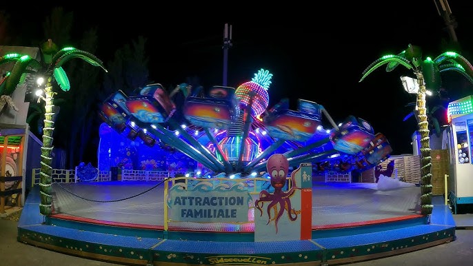 Attraction Minis auto-tamponneuses - Family Park