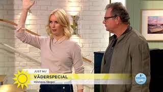 "Lyckligt väder" – så får löven sina vackra höstfärger - Nyhetsmorgon (TV4) screenshot 4