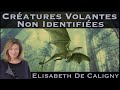  cratures volantes non identifies  avec elisabeth de caligny