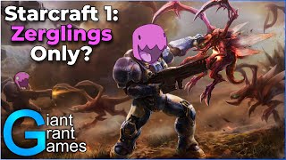 Can You Beat StarCraft With Only Zerglings? by GiantGrantGames 762,203 views 1 year ago 34 minutes