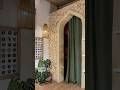 Total Nervous System Reset at NATURAL LAMU Kenya