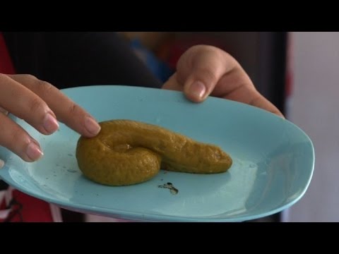 pudín como heces en gatos pudín como heces en gatos