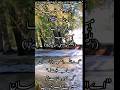 روز قیامت آسان حساب کی دعا Allah Quotes Shorts Yt Shorts 