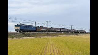 EF64-1030＋12系(ばんえつ物語)＋EF81-140　三条～東光寺