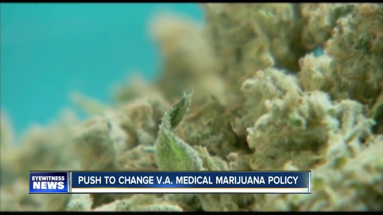 Push to change V.A. Medical Marijuana Policy
