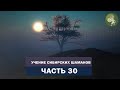 Аудиокнига &quot;Учение сибирских шаманов&quot;. Часть 30. Как задобрить дух леса и получить помощь духов?