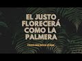 EL JUSTO FLORECERÁ COMO LA PALMERA