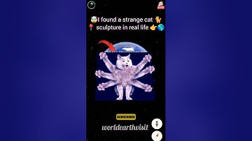 😱I Found a Stranger Cat in Real Life On google maps and google earth 🌎 #shorts  #worldearthvisit