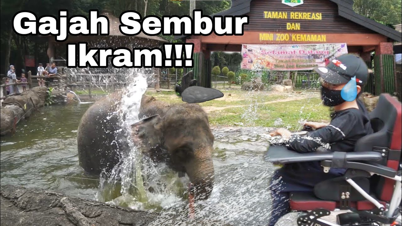 Tempat Menarik Di Terengganu Mini ZOO Kemaman YouTube
