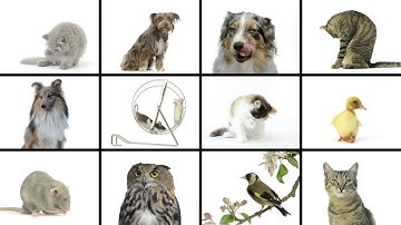 Optimize the Employee Experience - InnerSpace Smart Office