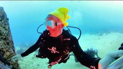 Bob Willis - Insta 360 X3 with First Dive Case in Aruba