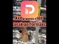 Where Authenticity Meets Performance in JDM Car Parts