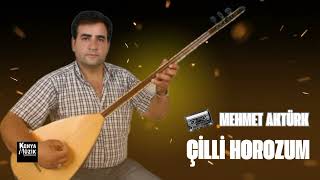Mehmet Aktürk - Çilli Horozum
