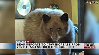 More bears are getting into human trash, causing conflict