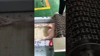 Automatic Chicken Cutting Machine