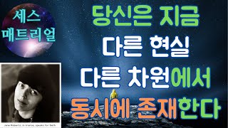 세스 매트리얼(제인 로버츠)(3)- 자아의 파편들은 독립적으로 행동하고 결정을 내리지만 그것의 내적이며 영적인 구성요소는 끊임없이 전체적인 자아와 커뮤니케이션을 갖습니다.