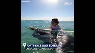 Unexpected manatee encounter