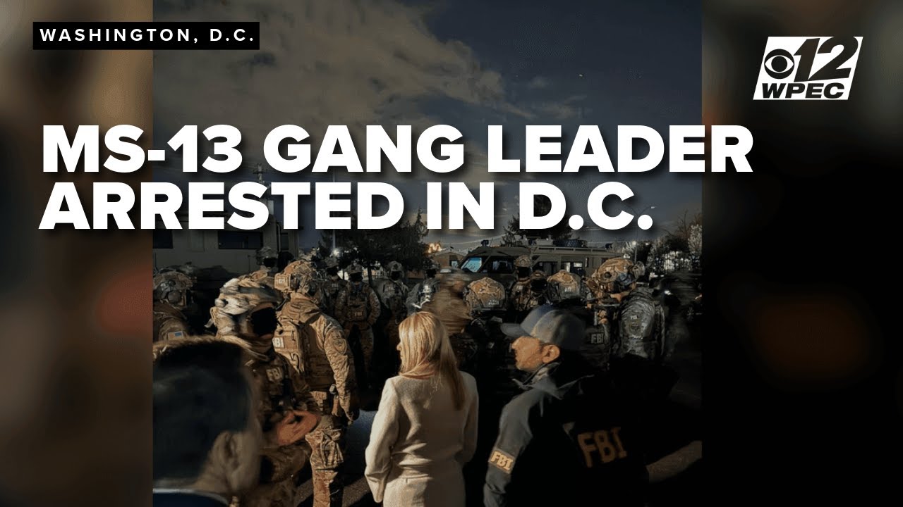 Top MS 13 leader arrested in Virginia, FBI says - YouTube