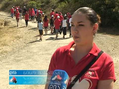 დასუფთავების აქცია გორში