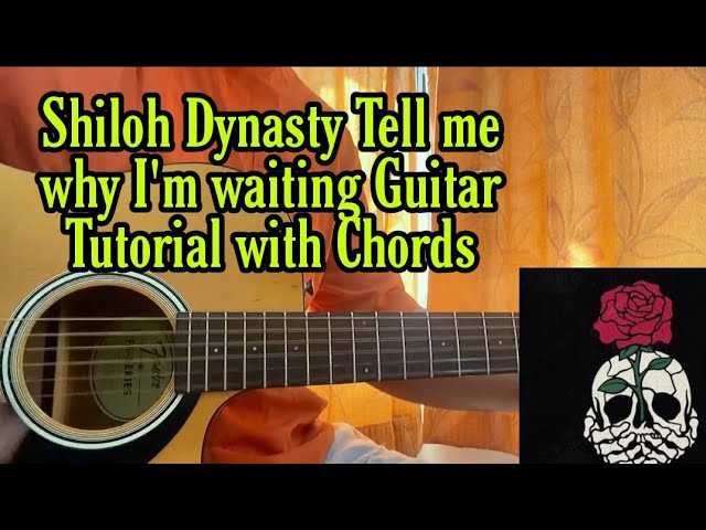 Shiloh Dynasty - Losing Interest EASY Guitar Tutorial With Chords