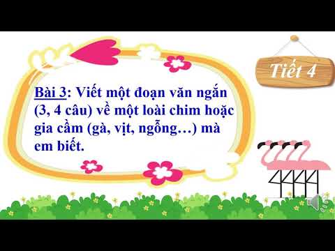 Bài giảng số 43 - Môn Tiếng Việt, tuần 27 lớp 2 - Bài: Ôn tập Tiếng Việt giữa học kì II Tiết 4, 5