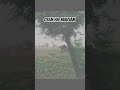 😍🌧️osem hai Mausam 🌪️🌧️☁️first rain in thi sision #barish #andhi#viral