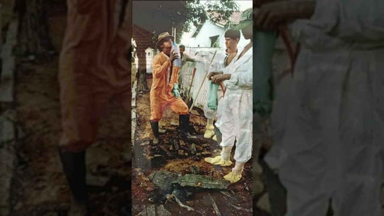 Как мелкие воришки чуть не погубили огромный город