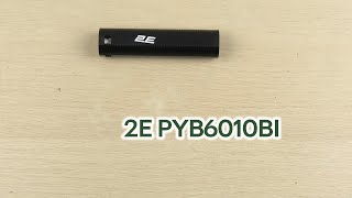 Розпаковка 2E PYB6010BI