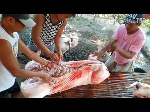 Video: Paano Sasabihin Ang Karne Ng Baka Mula Sa Baboy