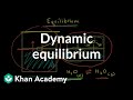 Equilibrium Dynamics in Water Vaporization and Condensation
