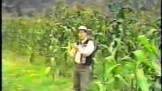 Video thumbnail of "bayronn caicedo(el choclero) musica ecuatoriana"
