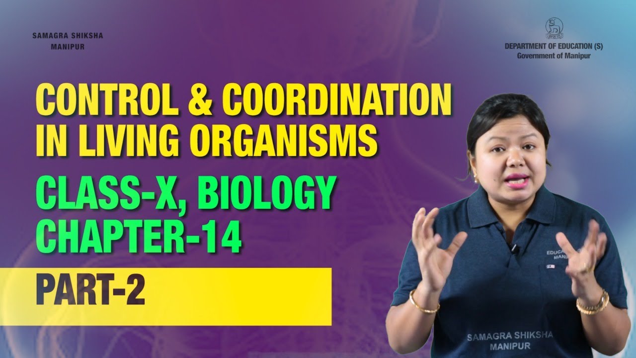 Class X Biology Chapter 14: Control & Coordination in living organisms ...