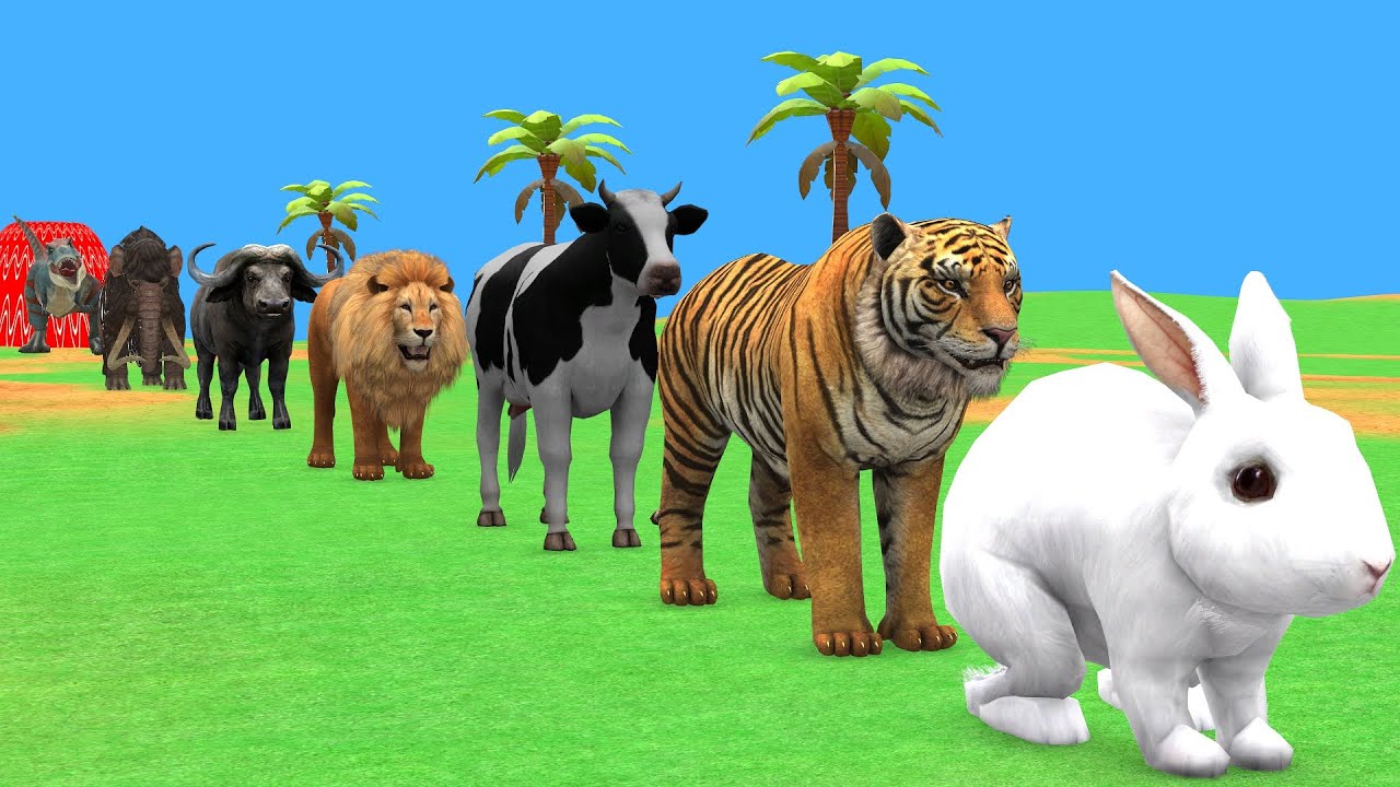 Long Slide Game with Cow Elephant Gorilla Hippopotamus Tiger 3d Animal Game Funny 3d Animals