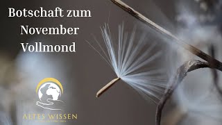 Botschaft zum November Vollmond