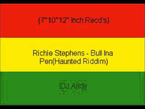 Richie Stephens - Bull Ina Pen