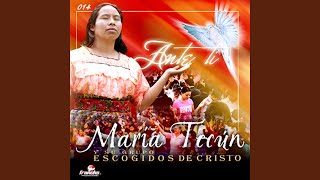 Video thumbnail of "Maria Tecun - Llévame"