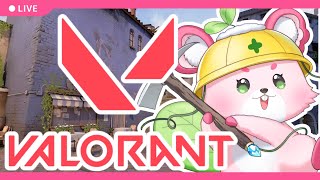 【VALORANT】コンペに繰り出してみたい！【ラビィ・ビィ/CHUMPLANET】
