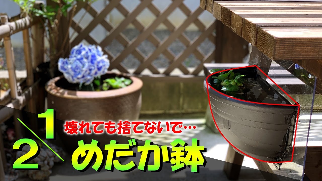DIY】半分だけの「めだか鉢」ぶった切る！！ - YouTube