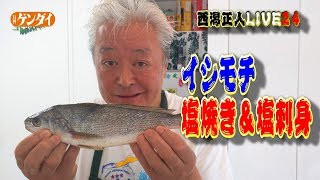 プロの魚料理【西潟真人】簡単！イシモチの捌き方、刺身と塩焼きが美味！～how to fillet a croaker,sashimi,Japanese