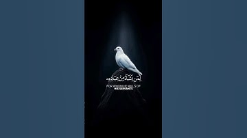 القرآن الكريم راحة نفسية #اكسبلور #المصحف #الرحمن #عبدالرحمن_مسعد
