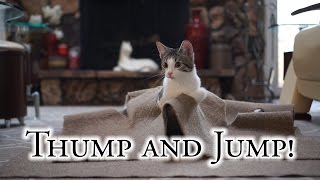 Thump and Jump!