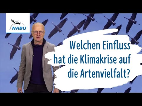 Wirkt sich die Klimakrise auf unsere Artenvielfalt aus?