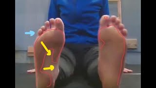 Sole Spread 1 - Exng Variables